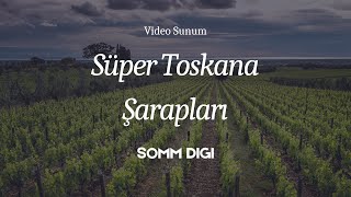 İtalyanın en özel şarapları Super  Tuscan Şarapları Şarap Öğrenme İtalya Turu [upl. by Sholes]