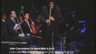 EUSTACHEDUDAMELSBYO quotSuite Concertante For WorldWWs amp Orchquot Mov 10 of 12 [upl. by Rubio250]