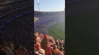 Collingwood song after winning AFL Grand Final 2023 [upl. by Rexer990]