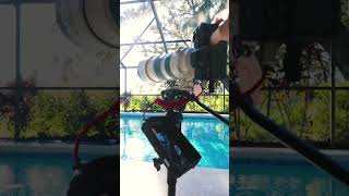 Why EVERY Sports Videographer Needs This Monopod Cayer FP34 Monopod Review [upl. by Akina]