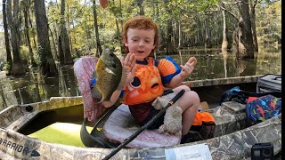 Santee Cooper Swamp ShellCrackerRedear fishing out the warrior boats and a 4 year old in his boat [upl. by Anadroj]