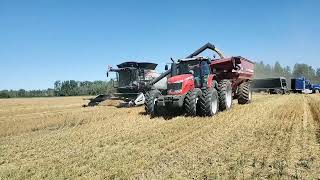 Gleaner S98 Oat Harvest 2022 [upl. by Dempster214]