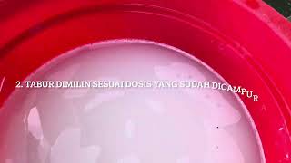 OBAT KUTU DIMILIN [upl. by Farmer]