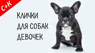 Клички имена для собак девочек Как назвать собаку [upl. by Bocyaj362]