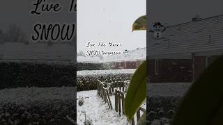 Where are you watching from 😍🌬️🌨️⛄️ snow trending snowfall ytshorts winter [upl. by Tap]