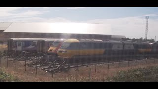 Trains in Ely Papworth Sidings [upl. by Rosmunda294]