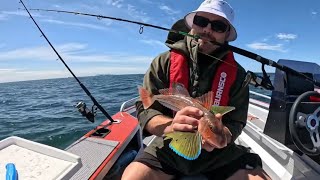 Snapper Fishing NZ Tauranga [upl. by Lody]