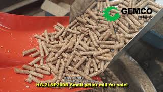 Small Pellet Mill Efficient and Versatile Machine for Your Home or Business [upl. by Anirtac]