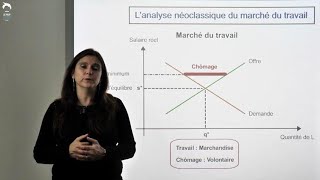 Lanalyse néoclassique du marché du travail [upl. by Partan]