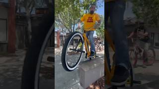 29quot bmx grinds SEBikesBMX bikes bmx 29bmx bikelife [upl. by Meeker]