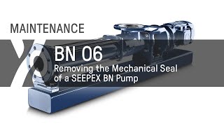 Maintenance BN  06  Removing the Mechanical Seal of a seepex BN Pump [upl. by Annaiviv]