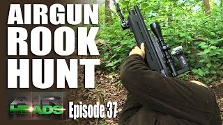 Airgun Rook Hunt  AirHeads episode 37 [upl. by Selrac]