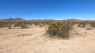 Joshua Tree National Park Pit Stop  Southern Entrance of Park [upl. by Ailime250]