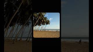 Mondoukou Beach 🇨🇮 Côte dIvoire [upl. by Durwood]