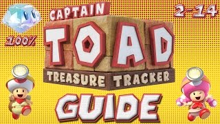 Captain Toad 214 Midnight in the Wandering Woods 100 Guide [upl. by Marler496]