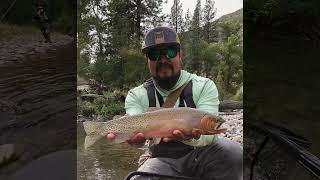 Montana Waters Pt 2  Fly Fishing for WESTSLOPE CUTTHROAT TROUT  MISSOULA [upl. by Yennor699]