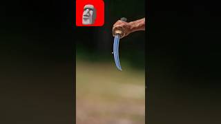 Bullet vs katana katanafight sword katanaking martialarts cobra experiment funny shorts [upl. by Atinauq]