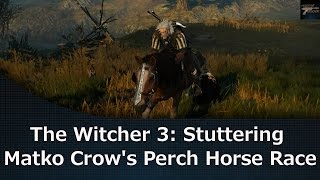 The Witcher 3 Stuttering Matko Crows Perch Horse Race [upl. by Eillom901]