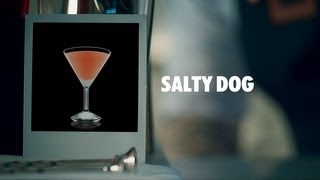 SALTY DOG DRINK RECIPE  HOW TO MIX [upl. by Desireah128]