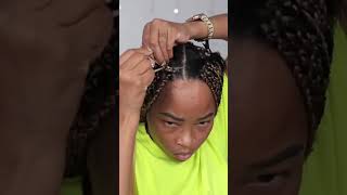 Box Braid Tutorial [upl. by Cousins253]