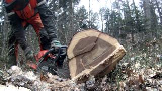 Logging with Husqvarna 543 XP 1 [upl. by Vadnee]