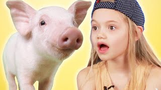 Kids Get Surprised With Mini Pigs [upl. by Dihgirb]