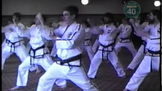 Park Jung Tae  Yul Gok Tul ITF TaekwonDo Seminar Dublin 1987 [upl. by Siekram]