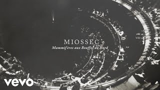 Miossec  Mammifères aux Bouffes du Nord Teaser [upl. by Ellerol]