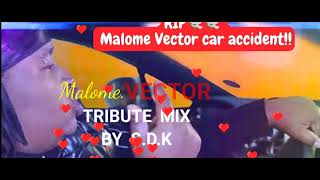 Malome Vector Tribute Mix By SDK [upl. by Giusto]