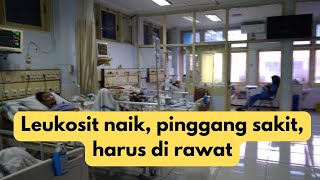 leukosit tinggi dikit harus di rawat [upl. by Ethbin]