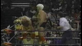 1196 Flair vs Hogan 12 [upl. by Yrrad874]