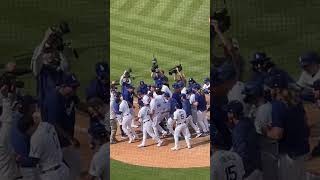 Max Muncy Walkoff Grand Slam Celebration in Dodgers Win vs Phillies [upl. by Allegra]