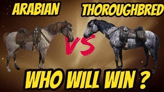 RDR 2 Arabian VS Thoroughbred Who Will Win [upl. by Hound]