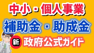 補助金・助成金公式ガイドブック発刊・6月20日中小企業庁が2024年版公式ガイド公開・中小企業施策利用ガイドブック・中小企業・個人事業主が今年使える補助金・助成金【マキノヤ先生】第1833回 [upl. by Aihsot]