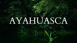 What Ayahuasca Does to Your Body amp Mind [upl. by Raamaj251]