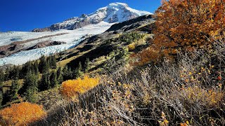 Heliotrope Ridge Trailhead  Mt Baker [upl. by Gardener]