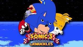 Sonic the Hedgehog 3 amp Knuckles  Infinite Lives Cheat [upl. by Estey473]