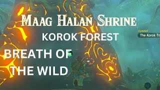 MAAG HALAN SHRINE KOROK FOREST THE LEGEND OF ZELDA BREATH OF THE WILD [upl. by Nikolas]