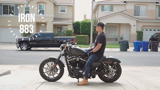 Why I Bought A Harley Davidson Motorcycle 2021 Iron 883 [upl. by Cerallua989]