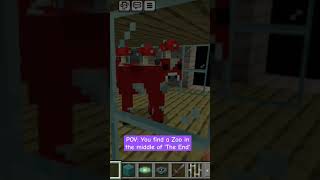 Minecraft end world Is that a ZOO endworld Minecraft minecraftgameplay likeandsubscribe [upl. by Assylem]