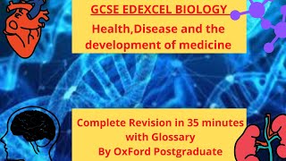 GCSE EDEXCEL BIOLOGY HealthDisease and the development of medicine Complete revision 35 minutes [upl. by Photina]