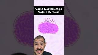 O Vírus que as Bactérias não Gostam curiosidades microscopio virus biologia bacteria biologo [upl. by Eednim]