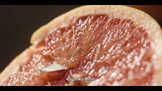 Cointreau  Citrus Series Opus 1  The Corsican Pomelo [upl. by Nizam]