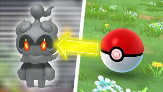 How to Get Marshadow in Pokémon GO [upl. by Elsworth536]