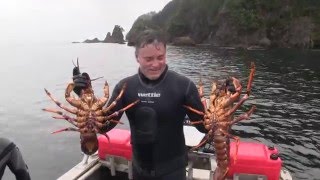 Wettie TV Fiordland Spearfishing April 2016 PART I [upl. by Ahcila]