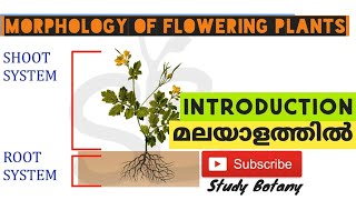 MORPHOLOGY OF FLOWERING PLANTS INTRODUCTION PART1 PLUS ONE BIOLOGY CHAPTER5 MALAYALATHIL NCERT [upl. by Gnaoh]