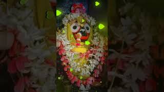 Hee jagannatha bhajana new song jaga songtrendingshorts YouTube video short bhajana jagannatha 🙏🙏 [upl. by Fleeta]