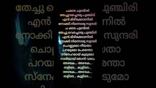 Chakkara chundil💕 album song lyrics  Album song Malayalam lyrics viralsong tranding [upl. by Teragramyram]