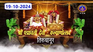 Sri Padmavathi Ammavari  Kalyanotsavam  Tiruchanoor  19102024  SVBC4 Hindi  SVBC TTD [upl. by Freudberg416]