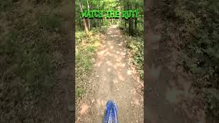 Wheelie over that one  Big wheel dirt bike  Yamaha yz450fx  Durty dabbers [upl. by Drannel982]